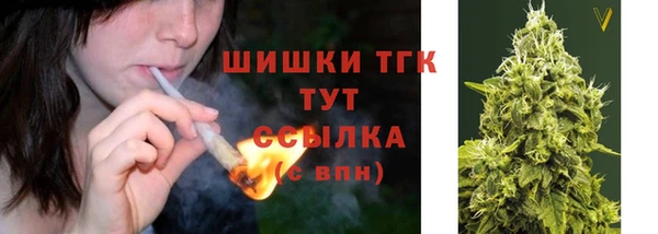 бутират Инсар