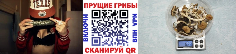 Псилоцибиновые грибы ЛСД Дмитров