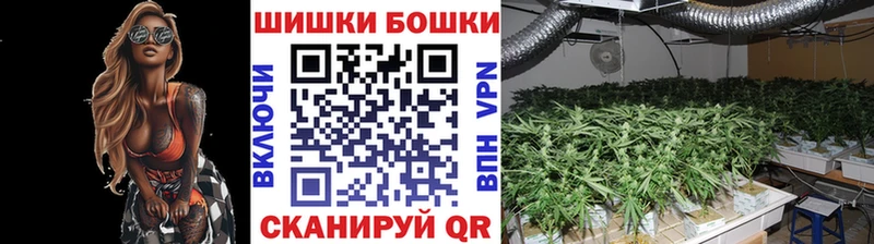 Шишки марихуана Amnesia  Купить  Дмитров 
